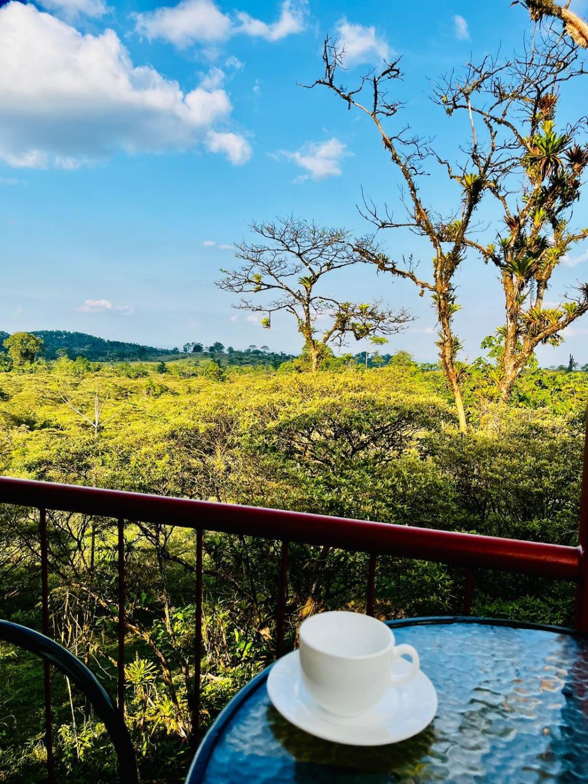 Garza Del Sol Glamping Rio Celeste Buganvilia 외부 사진